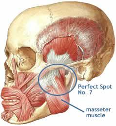 Des Couleurs Dans La Bouche 2011