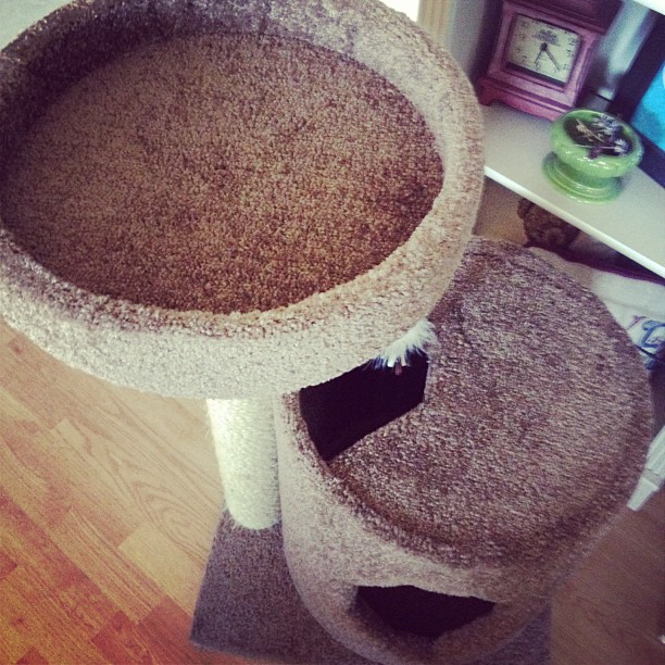 This Crazy Life...Michelle Underwood Designs Molly and Friends Cat