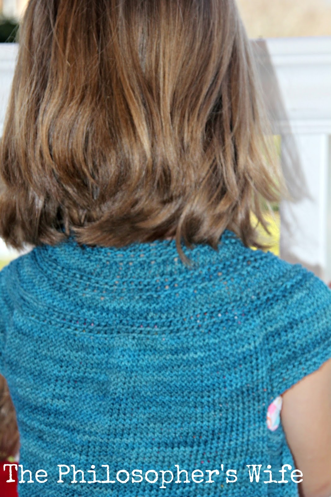 The Philosopher's Wife In Threes Sweater with String Theory Hand Dyed Yarn