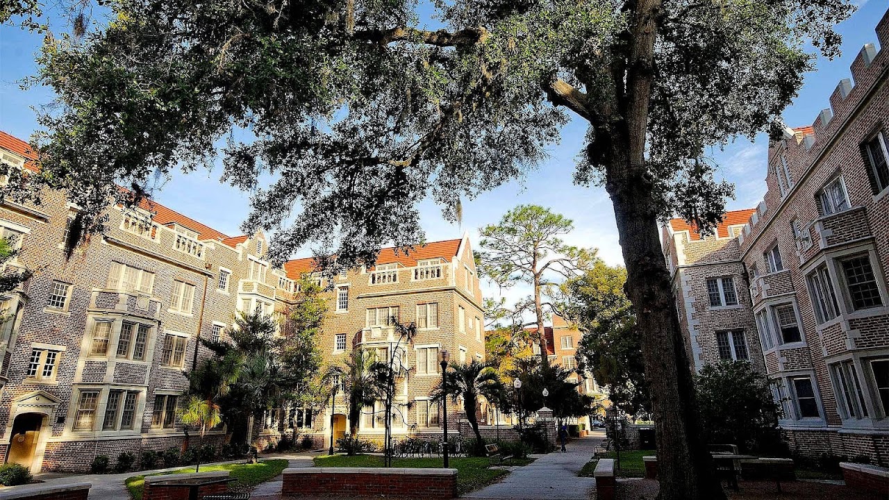 University Of Florida Gainesville Fl