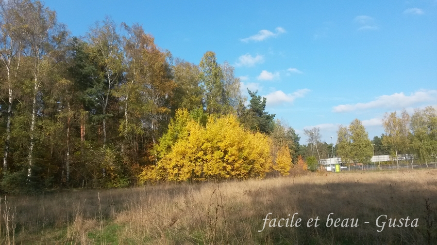 Pin Von Lin Whisperwind Auf Watercolor Painting Mit Bildern