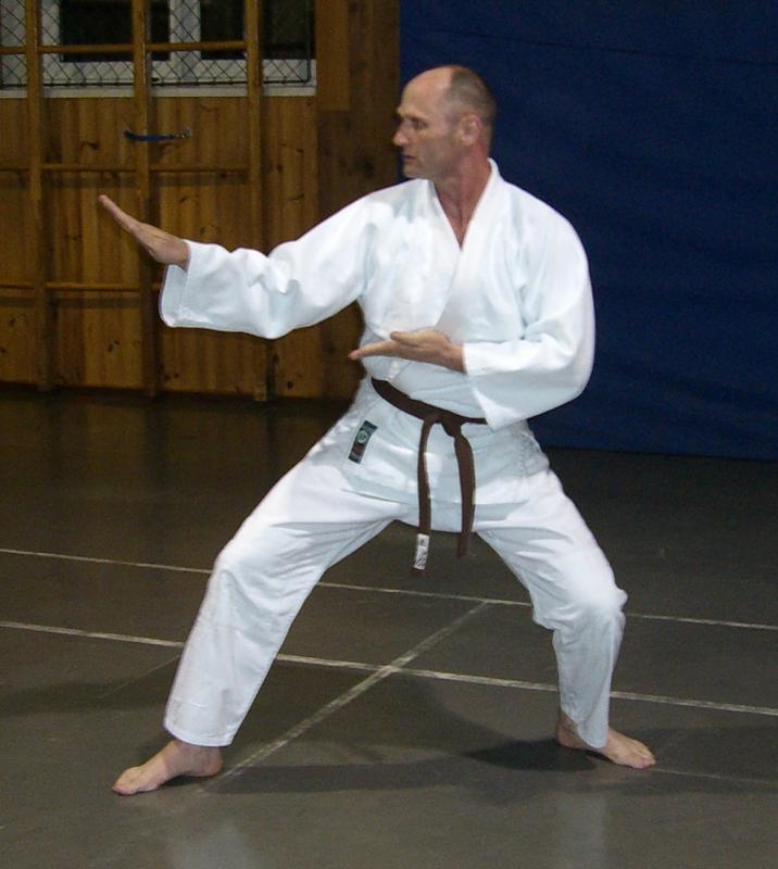 My Karate Lessons Karate Positions
