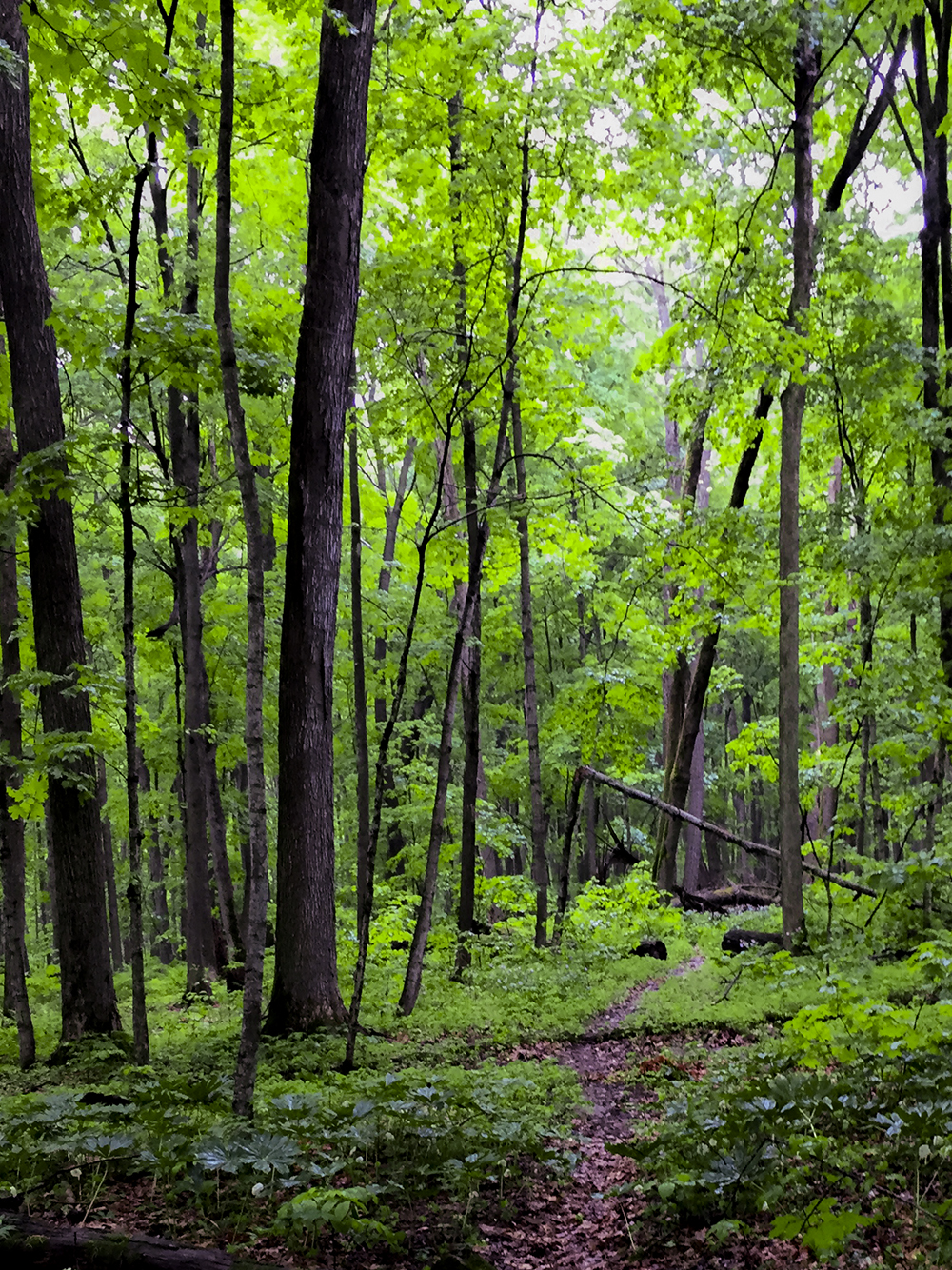 Baxter Hollow in North Freedom WI