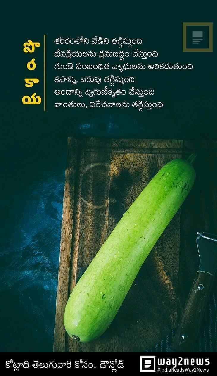 TELUGU WEB WORLD BENEFITS OF BOTTLE GOURD SORAKAYA ANAPAKAYA