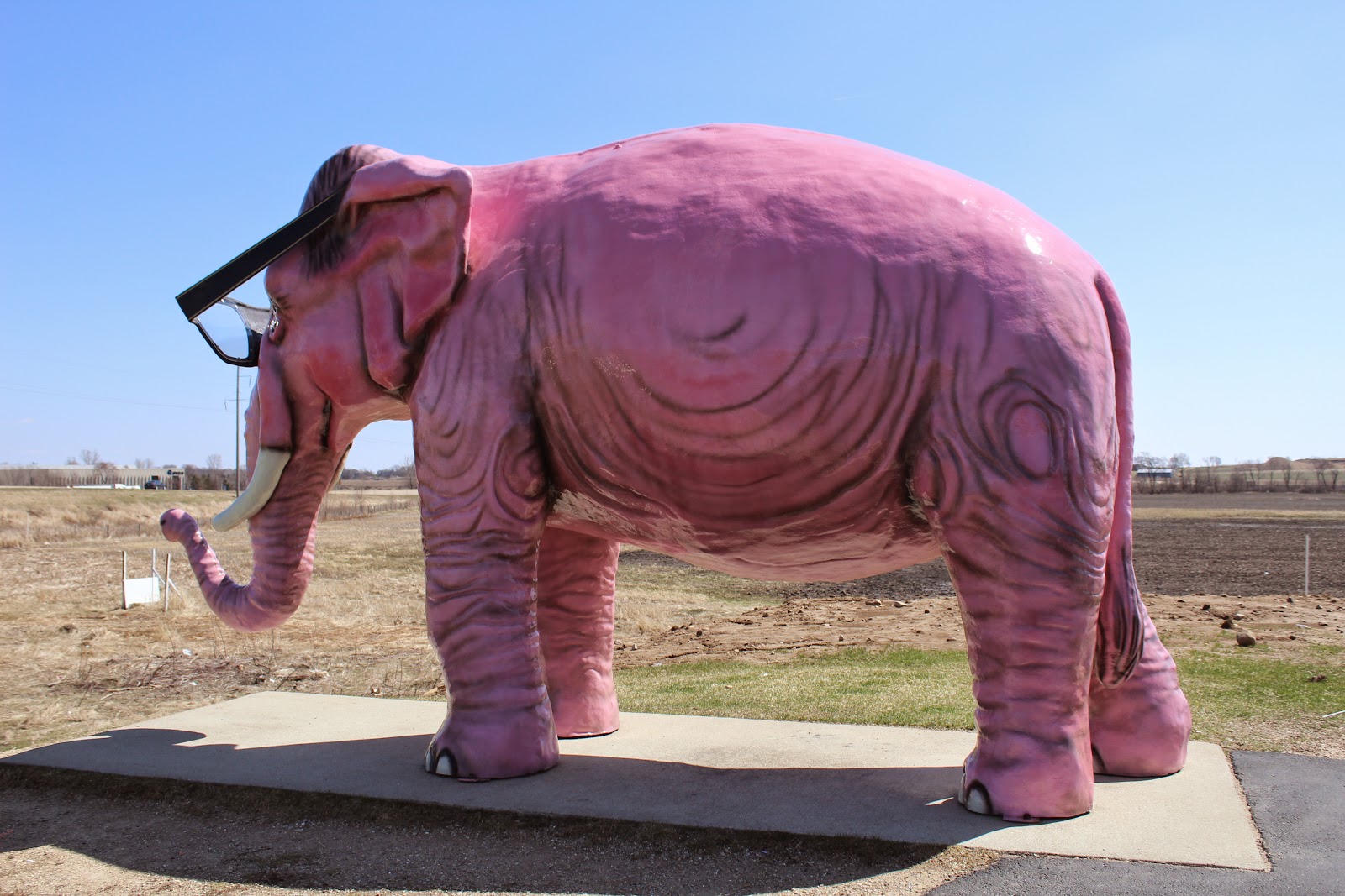 Wisconsin Historical Markers: The Story of the Pink Elephant