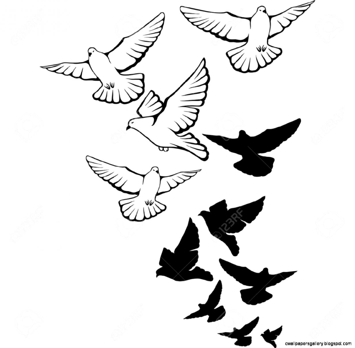 Flying Bird Drawing Tattoo Wallpapers Gallery