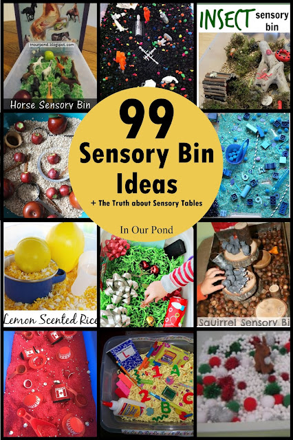 99 Sensory Bin Ideas + The Truth About Sensory Tables from In Our Pond