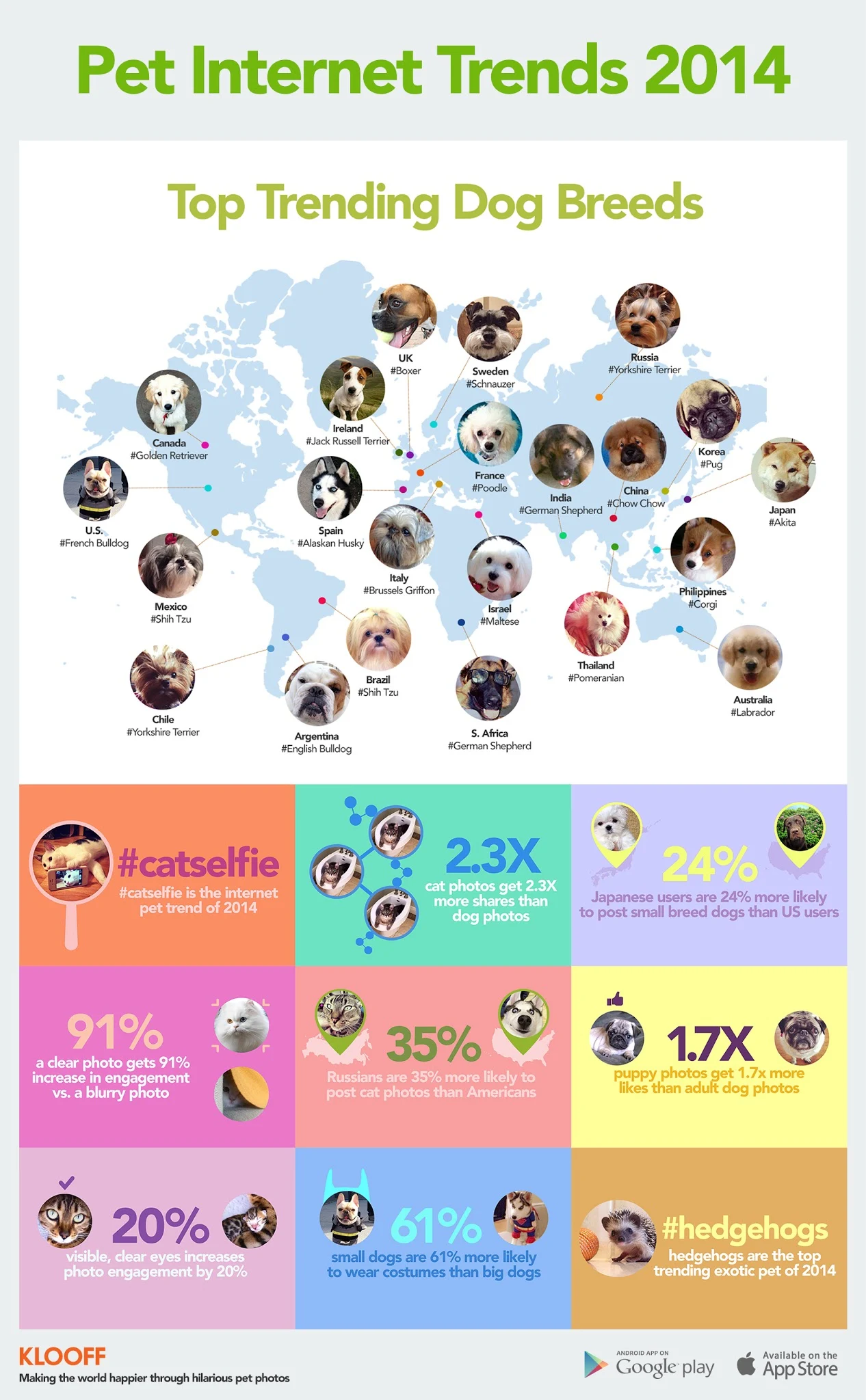 Pet Internet Trends 2014 - #infographic #socialmedia #contentmarketing with pets