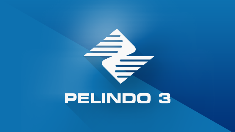 Logo PT Pelabuhan Indonesia 3