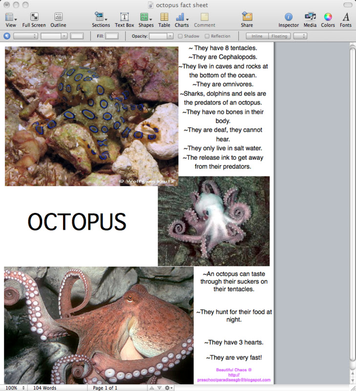 Octopus Quiz For Kids