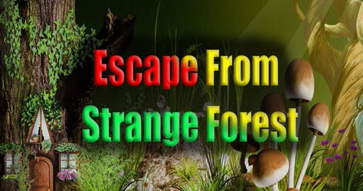 Escape Room Enchanted Forest Walkthrough