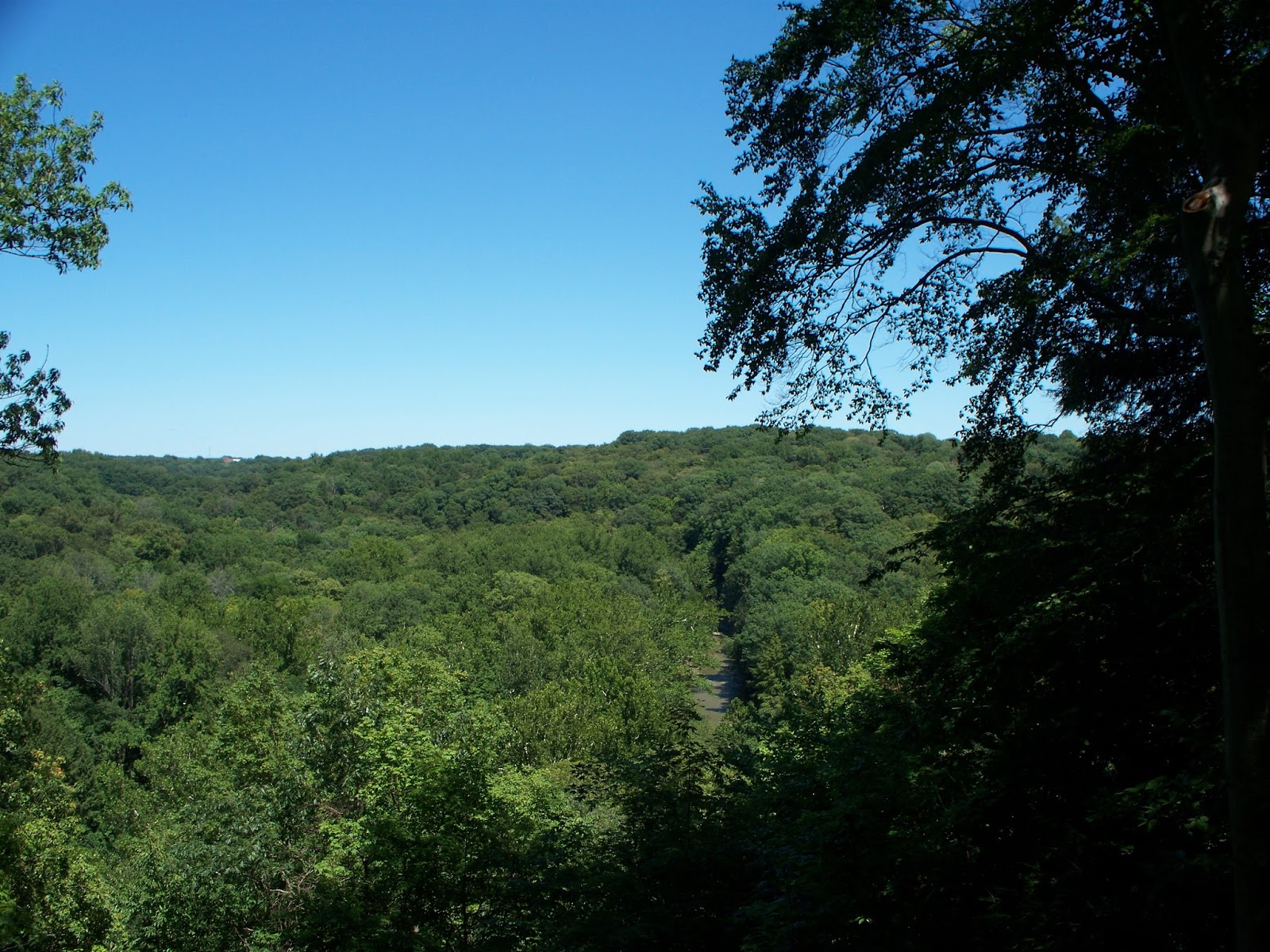 A Taste For The Woods Tinker's Creek Scenic Overlook, Cuyahoga