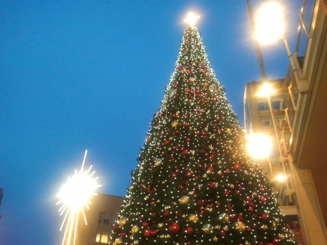 Photos: seattle landmarks at christmas Downtown Seattle at Christmas