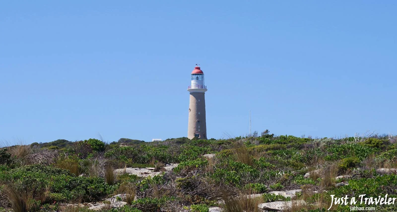 阿德萊德-袋鼠島-Kangaroo-Island-旗艦拱門-Admirals Arch-交通-景點-行程-推薦-遊記-自由行-旅遊-一日遊-二日遊-Adelaide-阿得雷德
