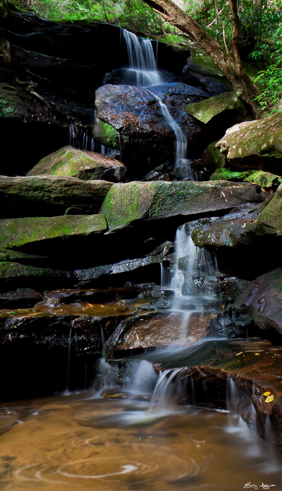 A View From The Lens Marge, Marge, the rains are here