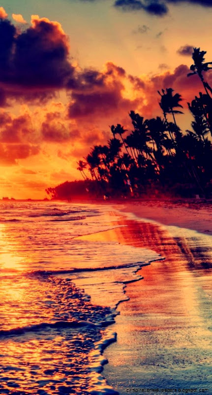 Fire Sunset Beach iPhone 6 Wallpaper  iPod Wallpaper HD   Free