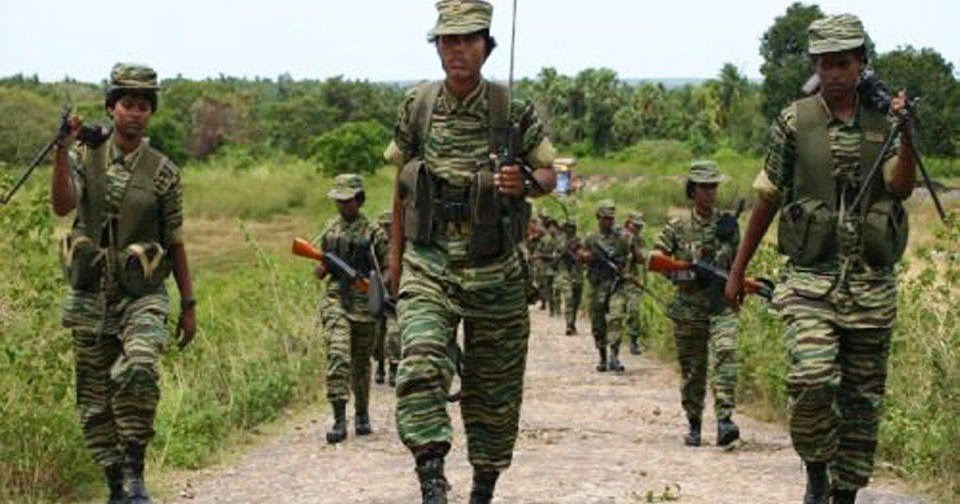 Image result for à®®à®¾à®²à®¤à®¿ à®ªà®à¯à®¯à®£à®¿