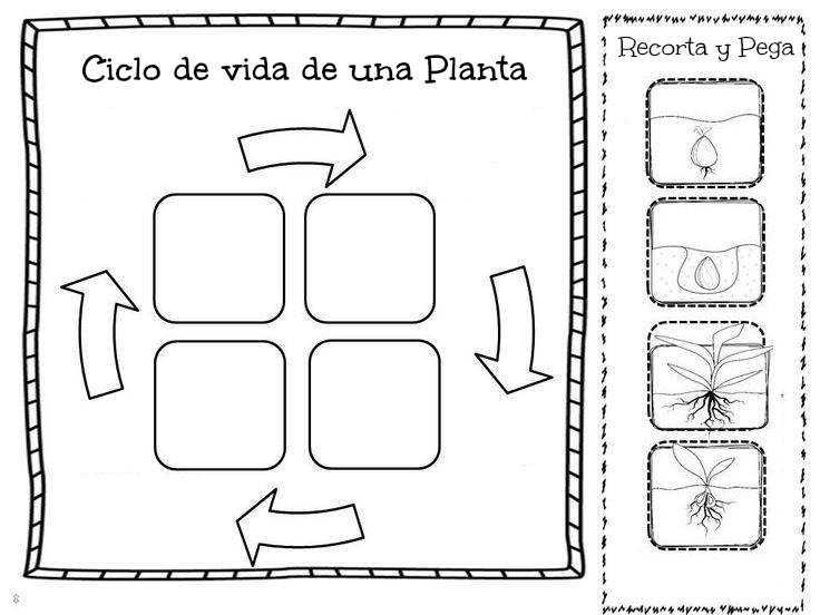 Menta Más Chocolate RECURSOS y ACTIVIDADES PARA EDUCACIÓN INFANTIL Actividades sobre el CICLO Menta Más Chocolate RECURSOS y ACTIVIDADES PARA EDUCACIÓN INFANTIL Actividades sobre el CICLO
