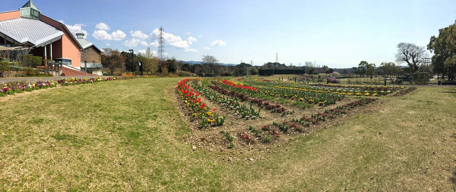 Tanabe in Spring