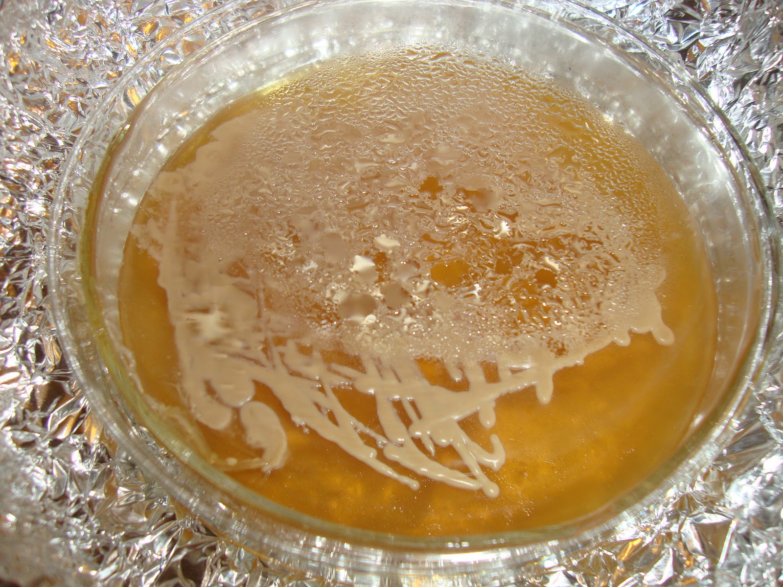 Otis Brewing Streaking a Plate (Ipswich Ale Yeast)