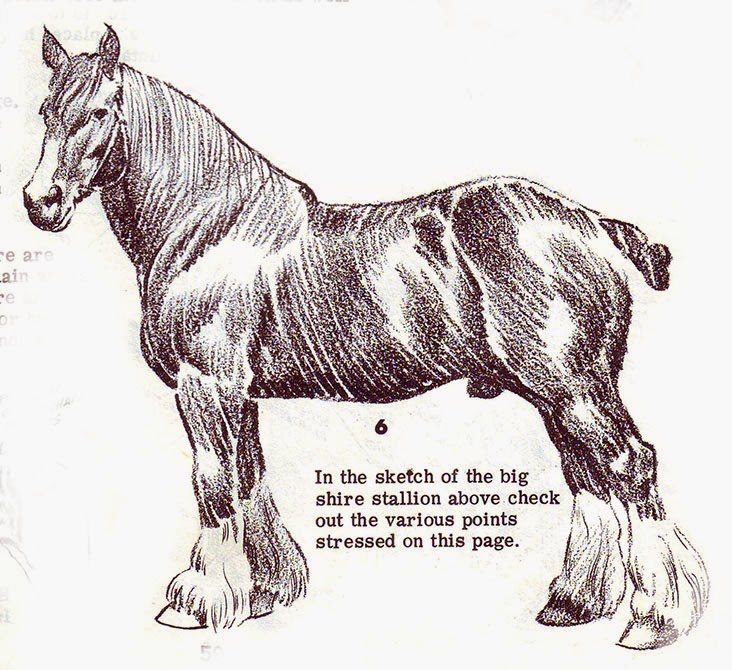 How Artists Hide The Ultimate Trick When Drawing a Horse