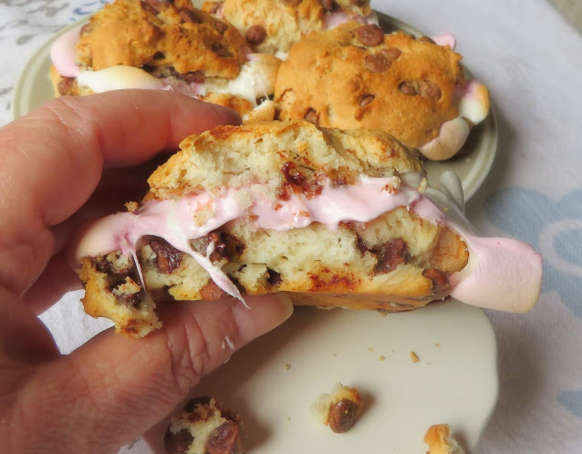 Chocolate Chip S'More Scones