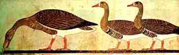 Os gansos de Medum remontam a mais de 2 mil anos antes de Cristo.   Detalhe num friso pictórico na antiga cidade de Medum.