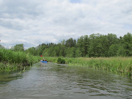 Rzeka Wieprz, spływ kajakowy.