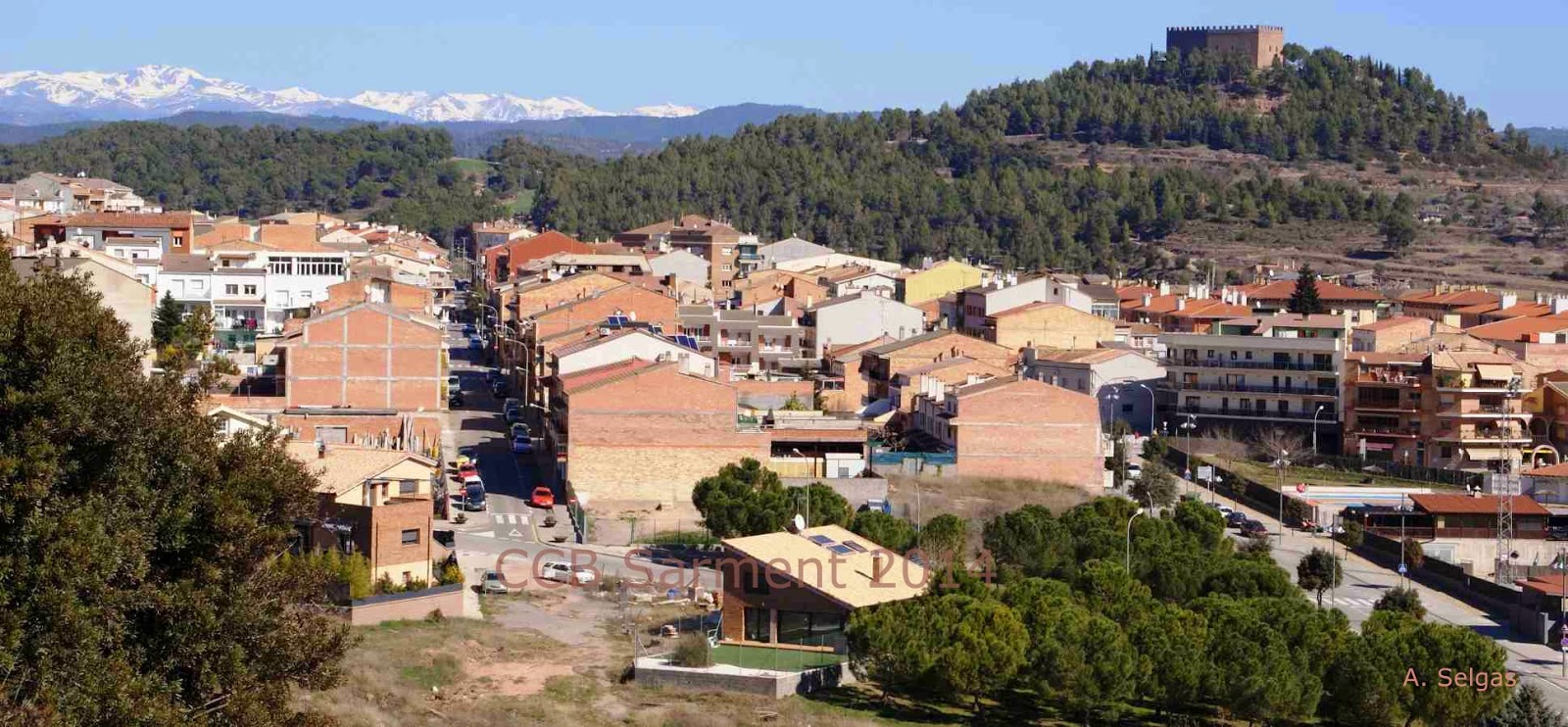 Sarment 'Gent de Balsareny'