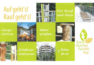 Harzbirder Der Harz