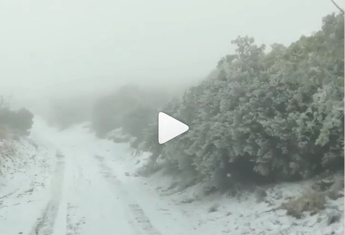 Incredibile, sta cadendo la neve alle Isole Hawaii: impressionanti immagini tempesta Video Instagram Facebook Twitter.