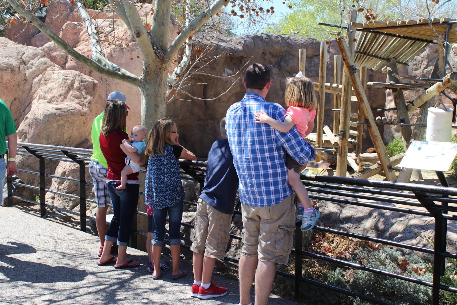 Live In The Moment Albuquerque Zoo