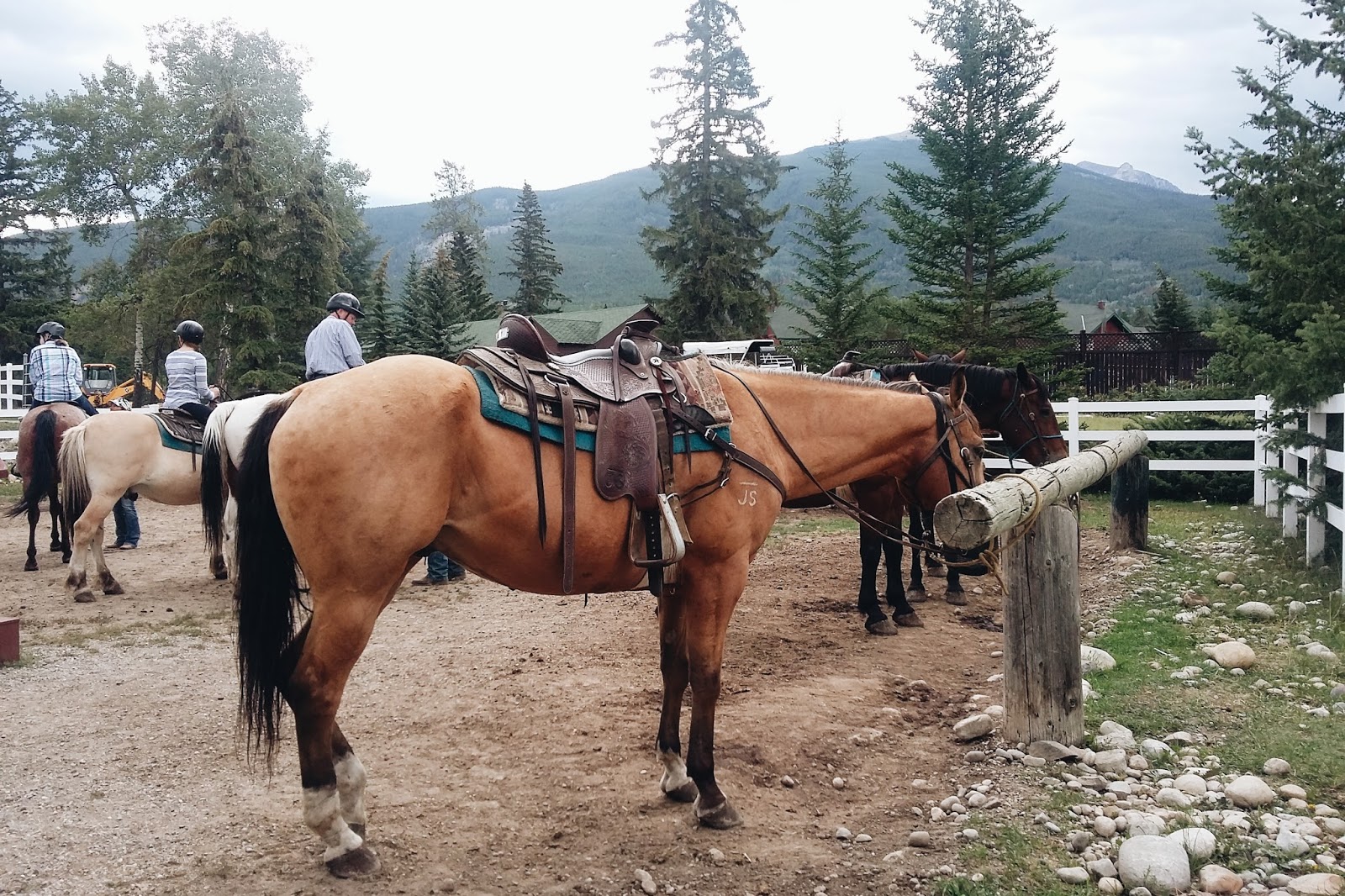 Horseback Riding at Jasper Park Stables