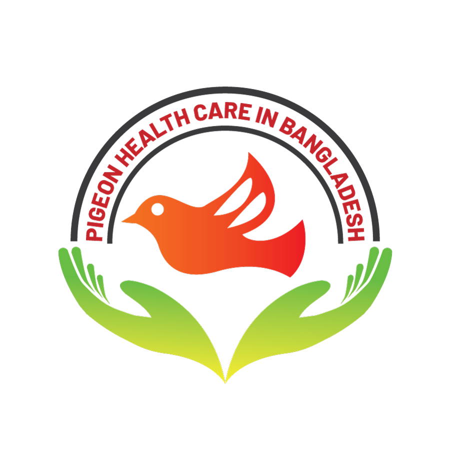 Pigeon Health Care In Bangladesh