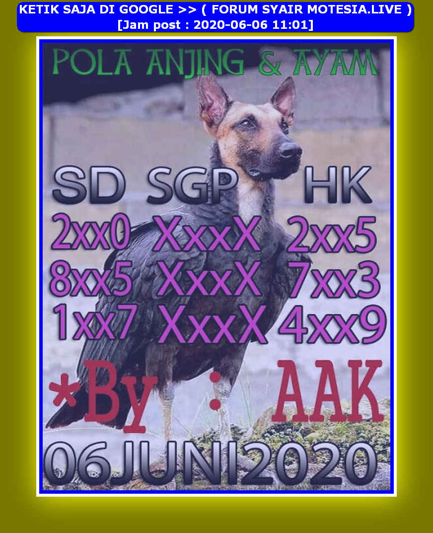 forum syair hk Meloditogel