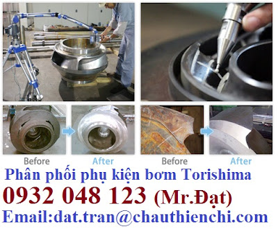 Phụ tùng thay thế Pump Torishima - Torishima Việt Nam Redu-beforeafter
