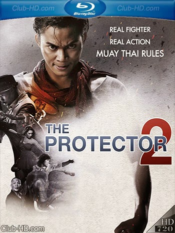 The-Protector-2.jpg