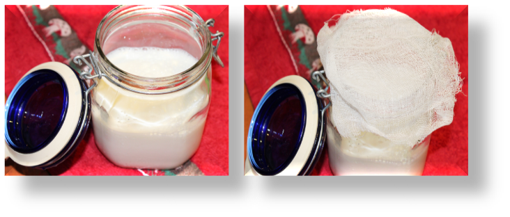 CÓMO ELABORO KÉFIR CASERO DE LECHE {PASO A PASO}