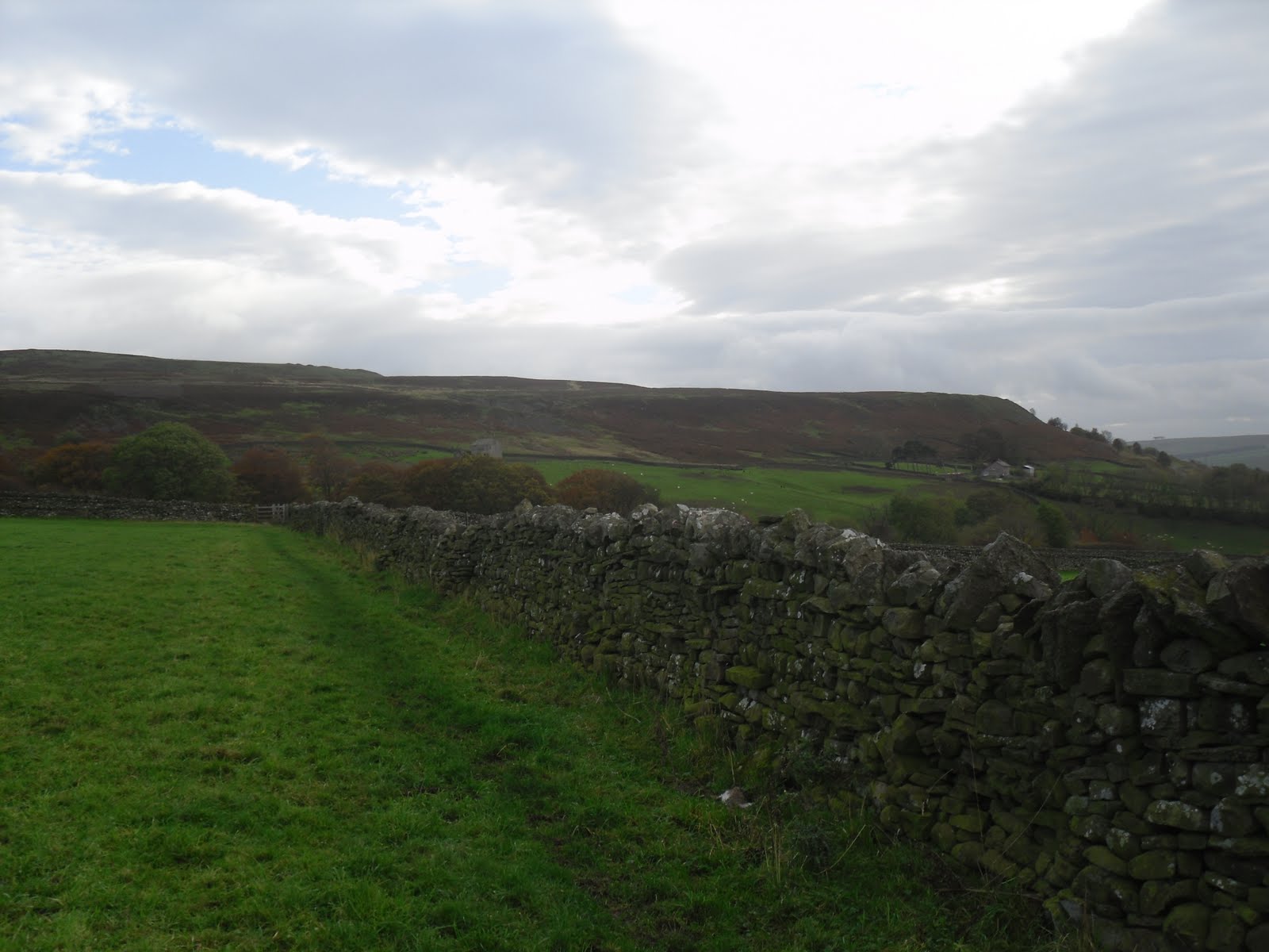Rambling Nana Stanhope & Wolsingham Park Moor