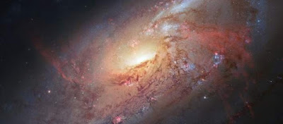 Avi Loeb: «Η ανθρωπότητα έχει δεχθεί σημάδια εξωγήινης ύπαρξης και τα αγνόησε»  