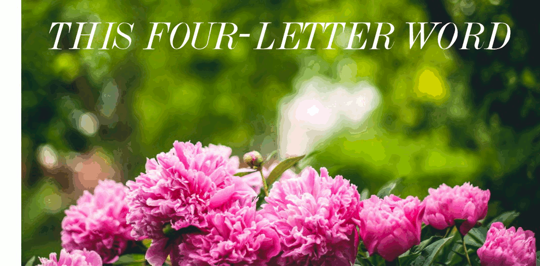 Infatuation Vs Love THIS FOUR LETTER WORD