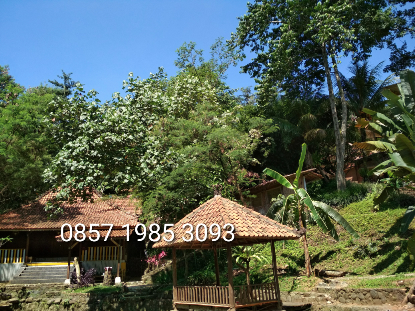 Villa Tempat Family Gathering Outbound di Sentul Untuk 30