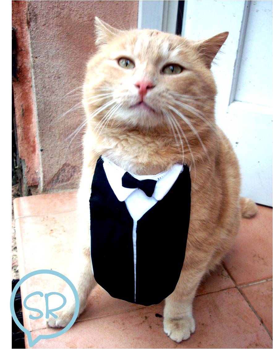 Sogni Risplendono Tutorial vestito di carnevale...per