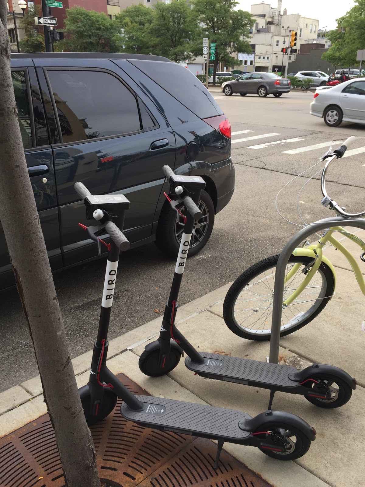 Damn Arbor Bird Scooters have arrived in Ann Arbor