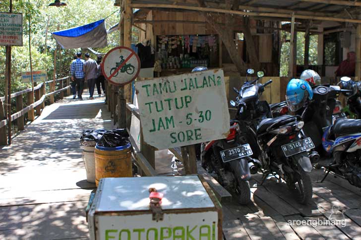taman mangrove morosari demak