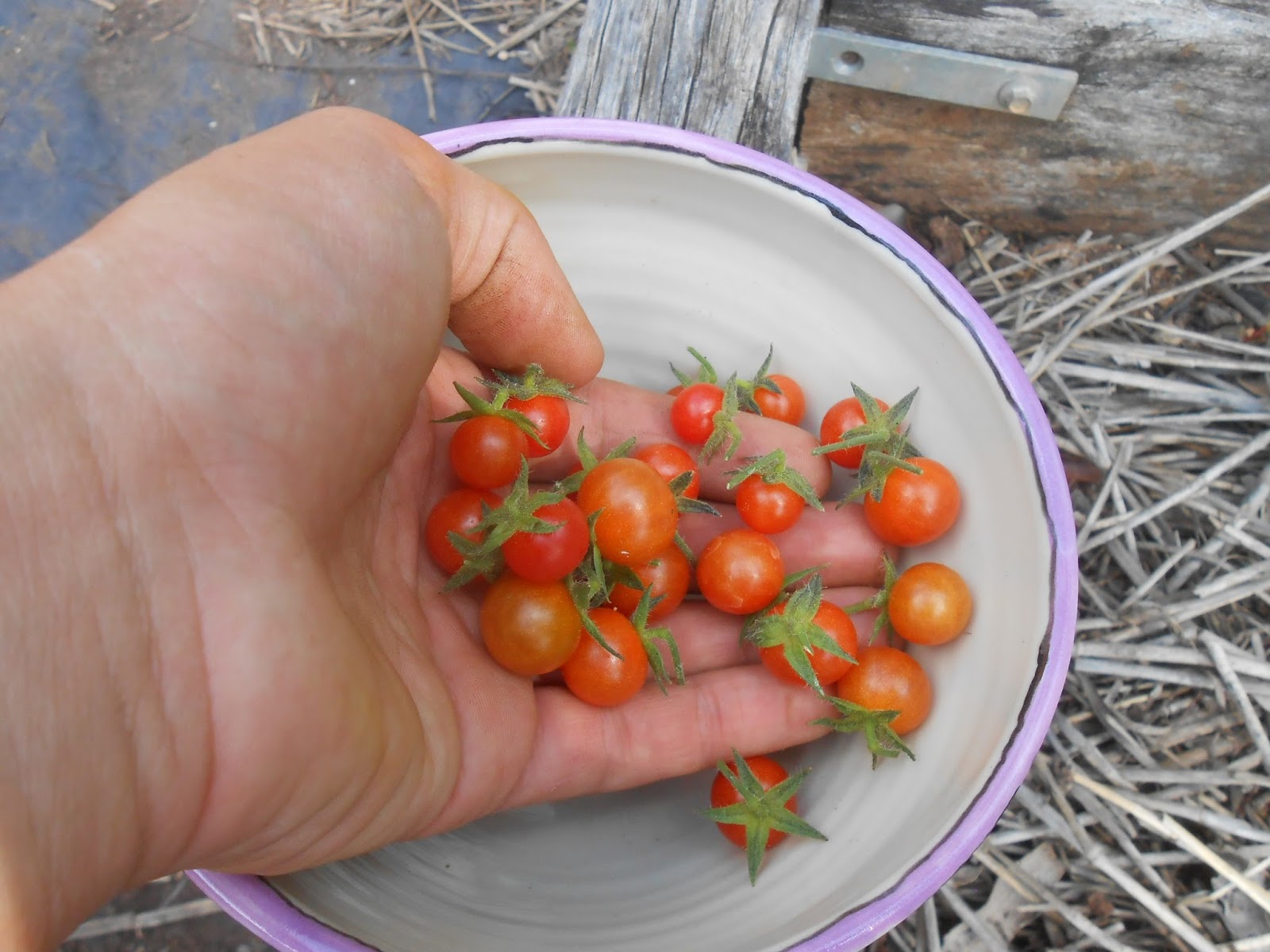 add-more-green-what-s-for-dinner