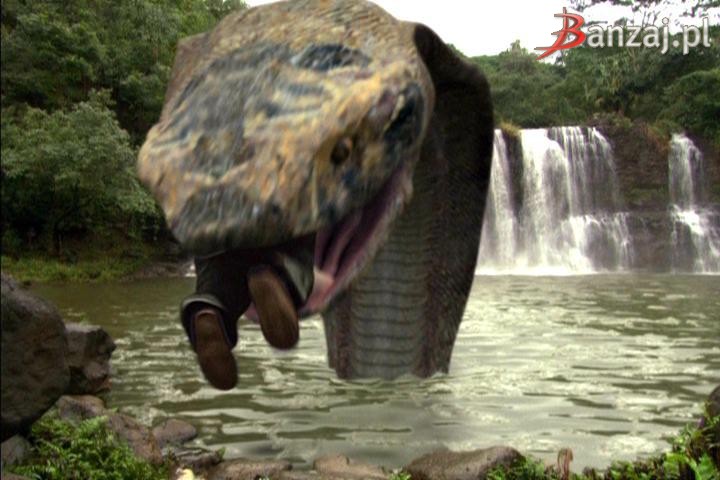 Komodo VS Cobra (2005)  Monster Films Lover