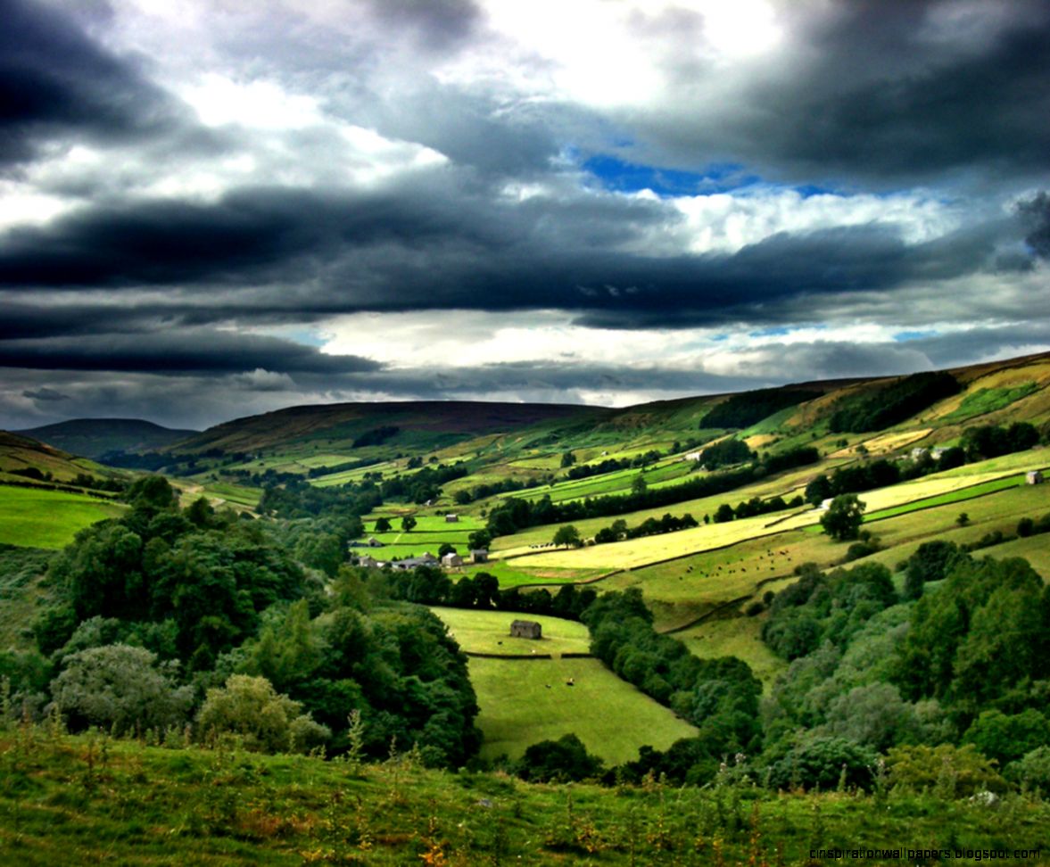 Green images Green Fields HD wallpaper and background photos