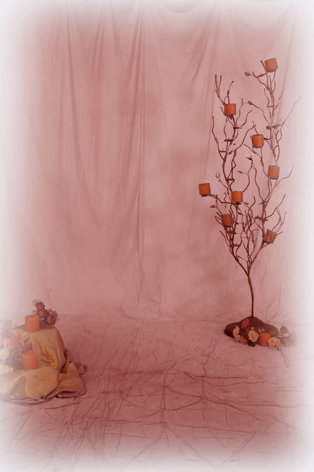 Beautiful Backgrounds