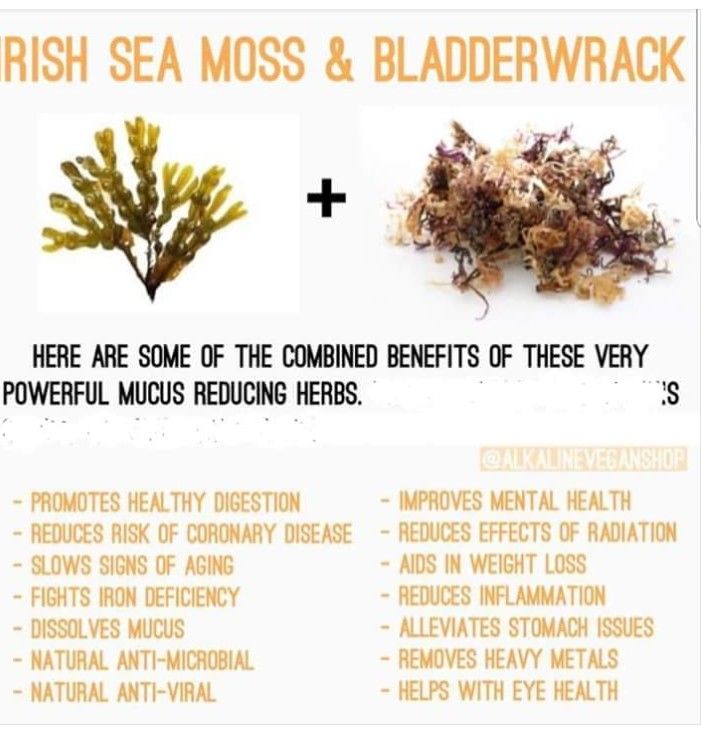 SEAMOSS & BLADDERWRACK